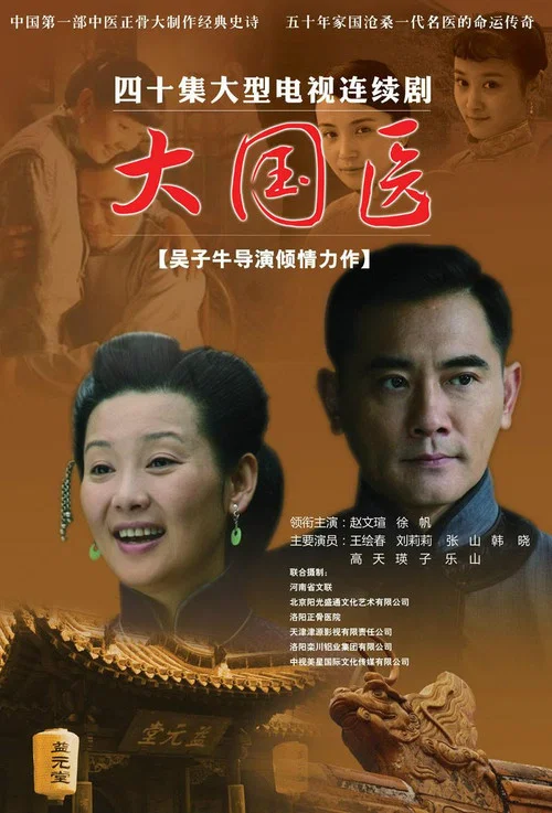 大国医(2009)海报