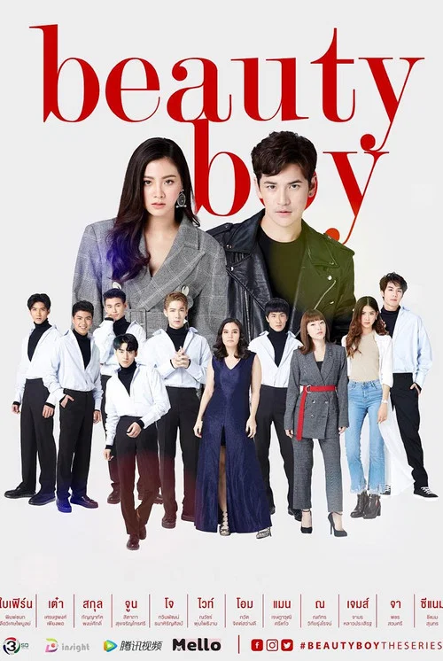 美麗男孩(2018)海報