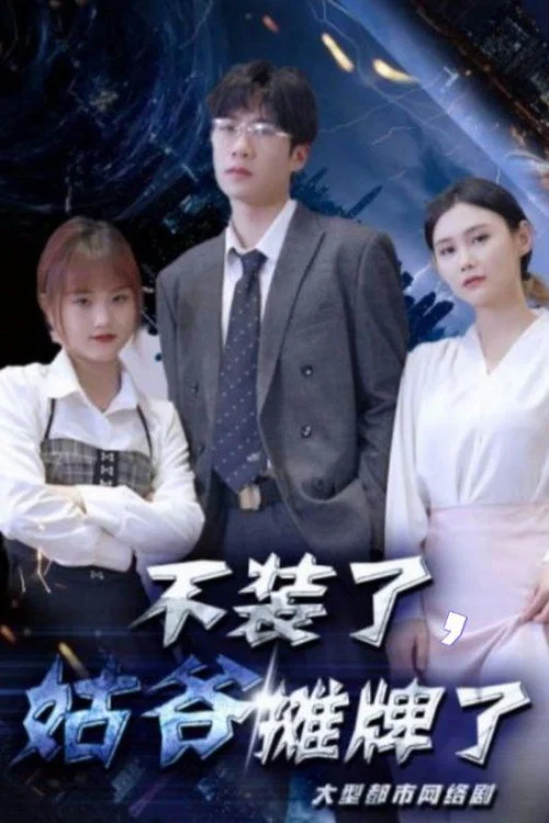 不装了,姑爷摊牌了(2024)海报