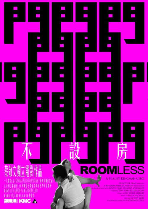 不设房(2011)海报