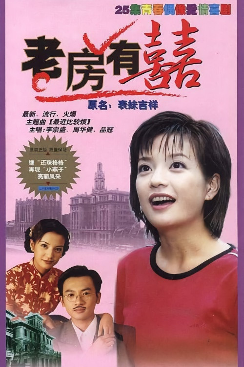 老房有喜(1999)海报