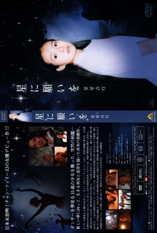 星星点灯(1996)海报