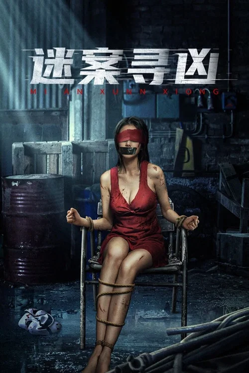 迷案寻凶(2024)海报