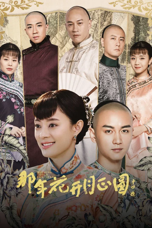那年花开月正圆(2017)海报