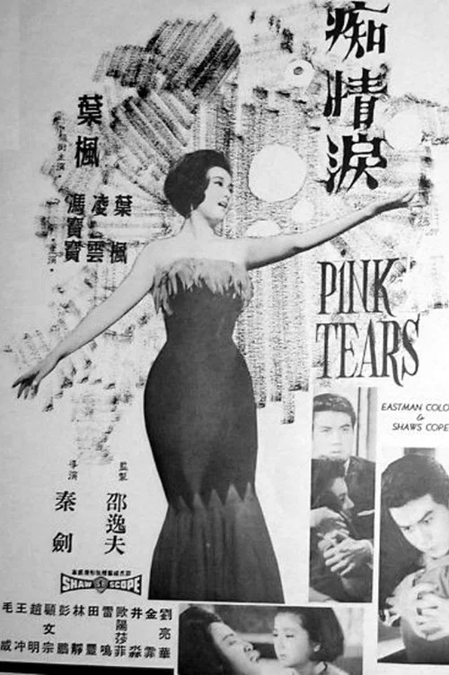 痴情泪(1965)海报