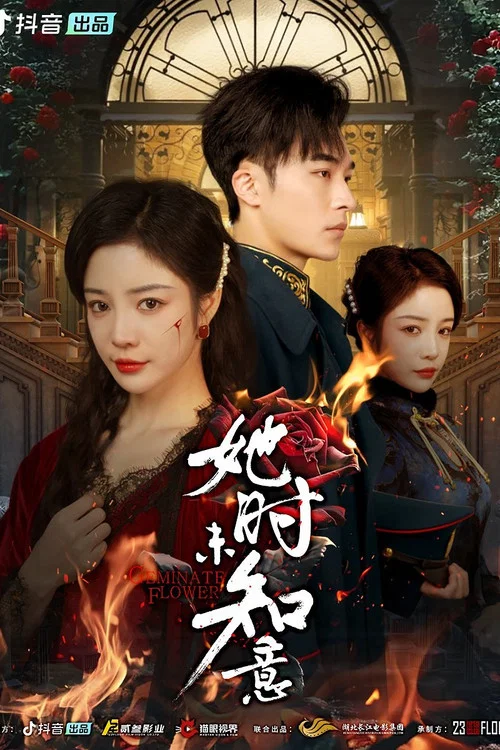 她時未知意(2025)海報