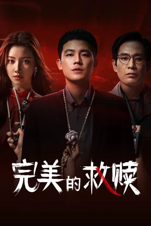 完美的救贖(2025)海報