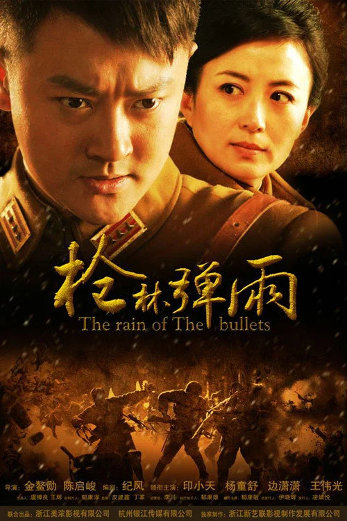 槍林彈雨(2012)海報