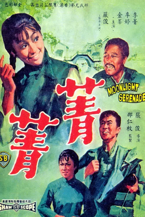 菁菁(1967)海報