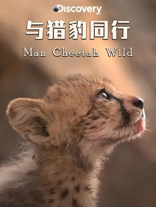 與獵豹同行(2013)海報