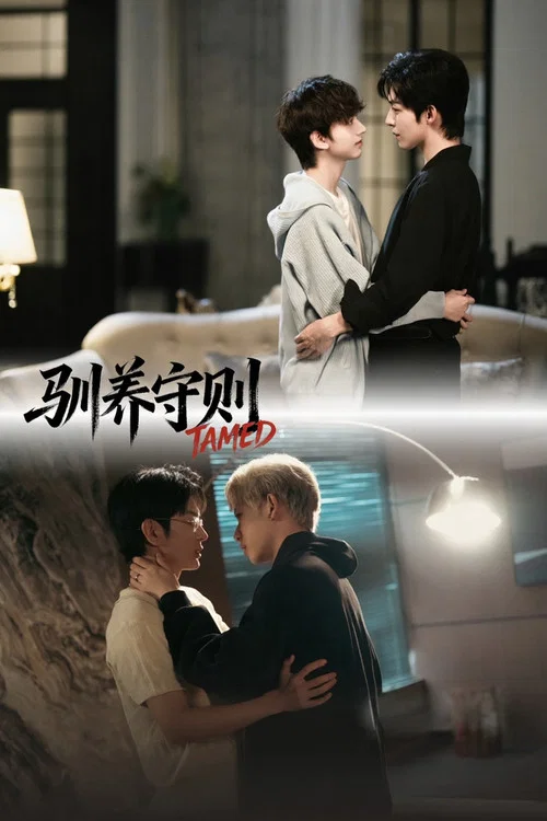驯养守则(2026)海报