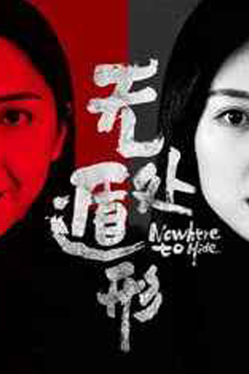 无处遁形(2019)海报
