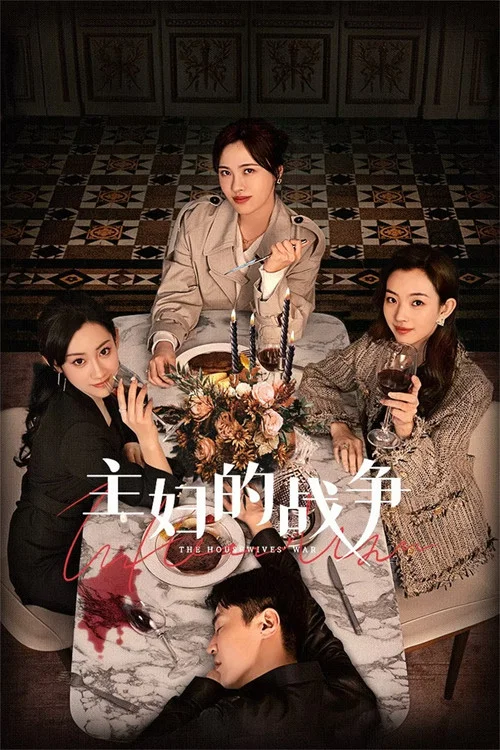 主妇的战争(2024)海报