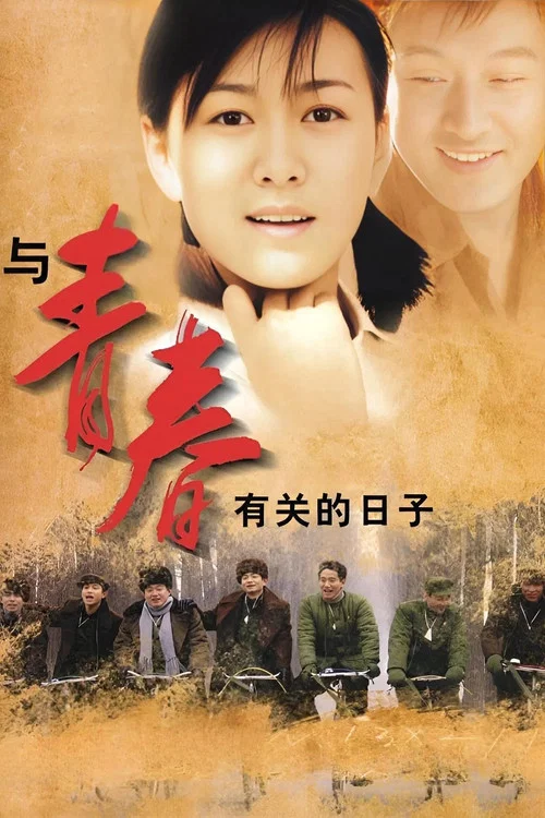 与青春有关的日子(2006)海报