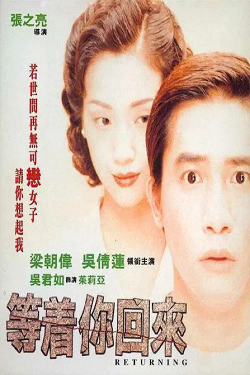 等着你回来(1994)海报