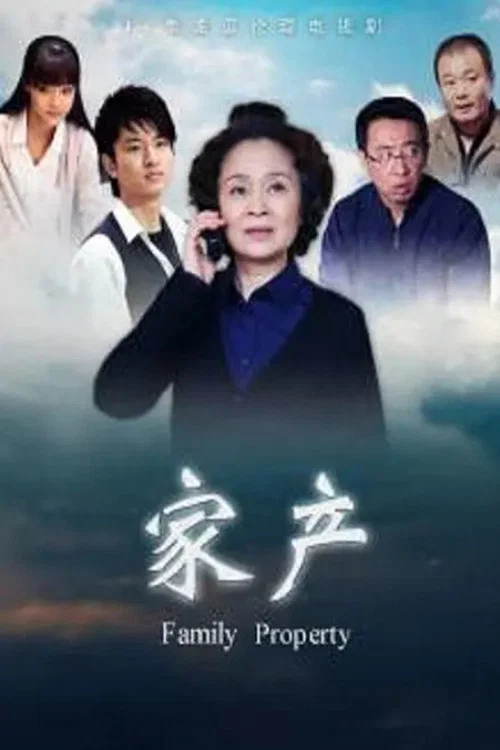 家产(2011)海报