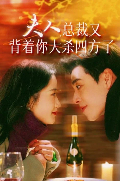夫人,总裁又背着你大杀四方了(2024)海报