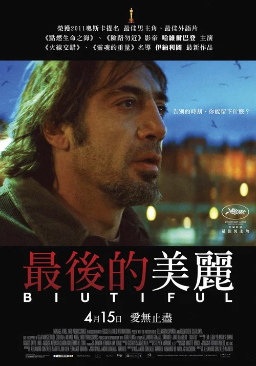 美錯(2010)海報