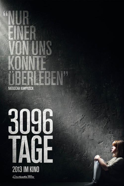 3096天(2013)海报