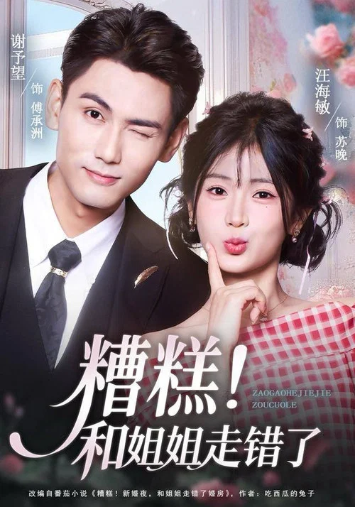 糟糕!和姐姐走错了(2025)海报