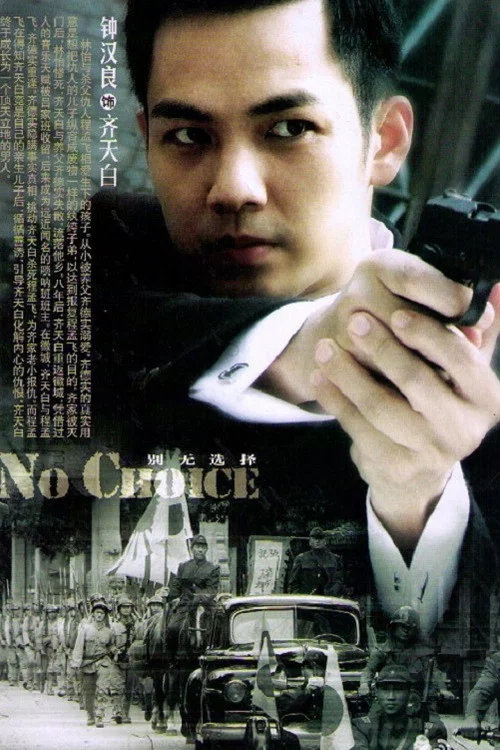 选择(2012)海报