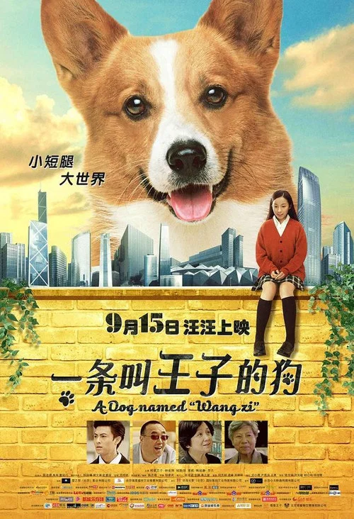 一條叫王子的狗(2016)海報