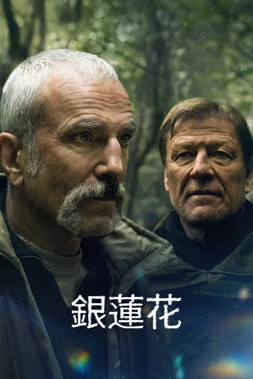 银莲花(2025)海报