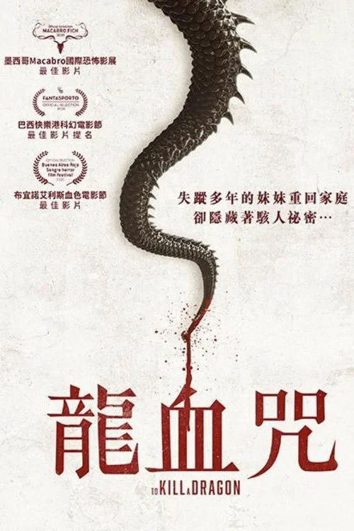 杀死恶龙(2019)海报