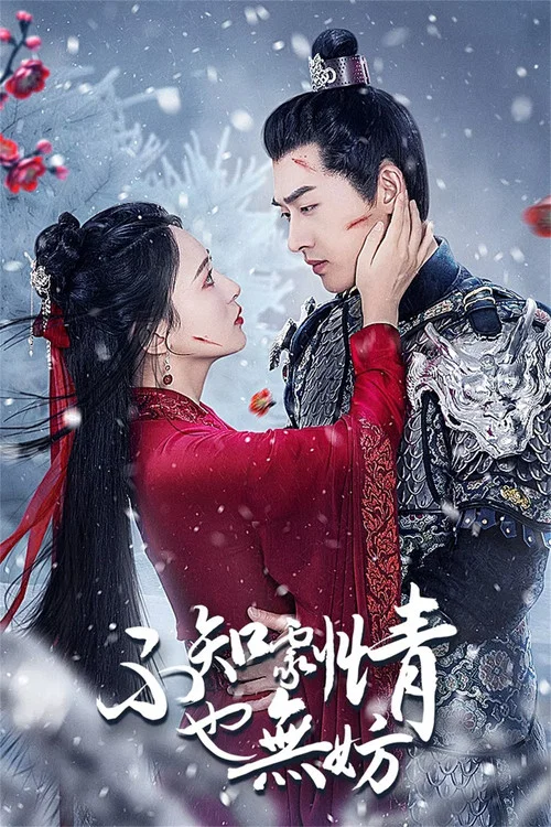 不知剧情也无妨(2024)海报