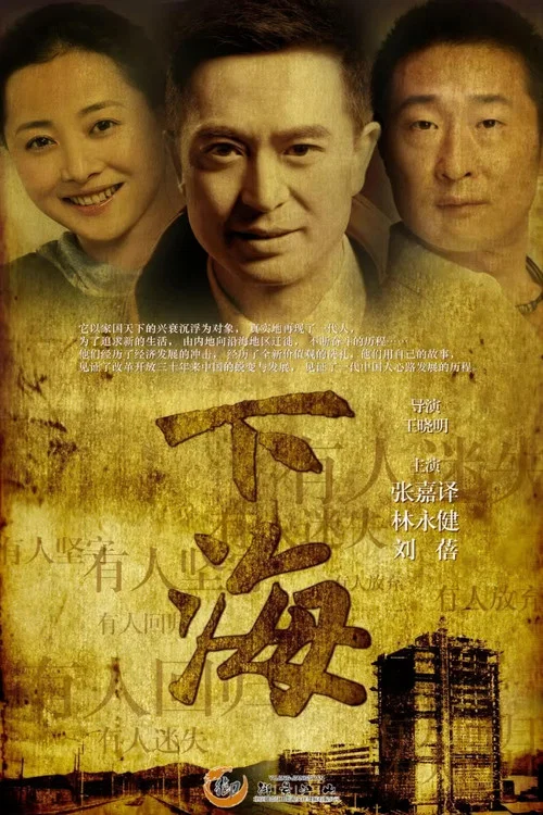 下海(2011)海報