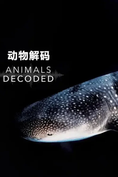 动物解码(2018)海报