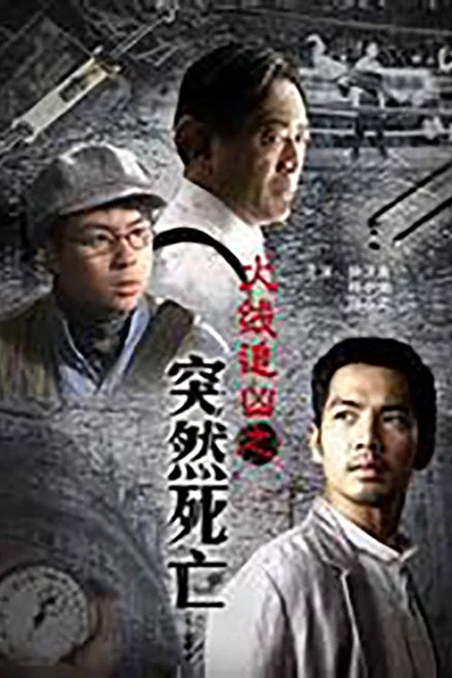 火線追兇之突然死亡(2009)海報