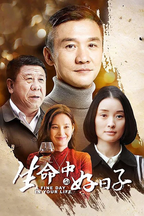 生命中的好日子(2016)海报