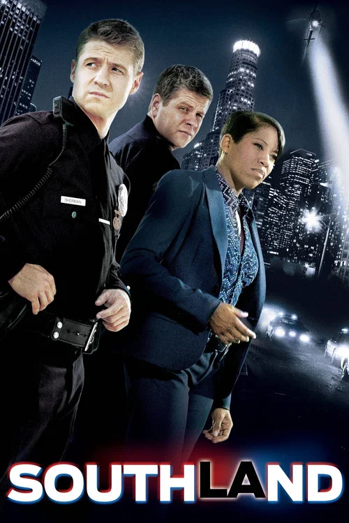 城事(2009)海报