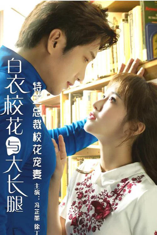 特工总裁校花宠妻(2018)海报