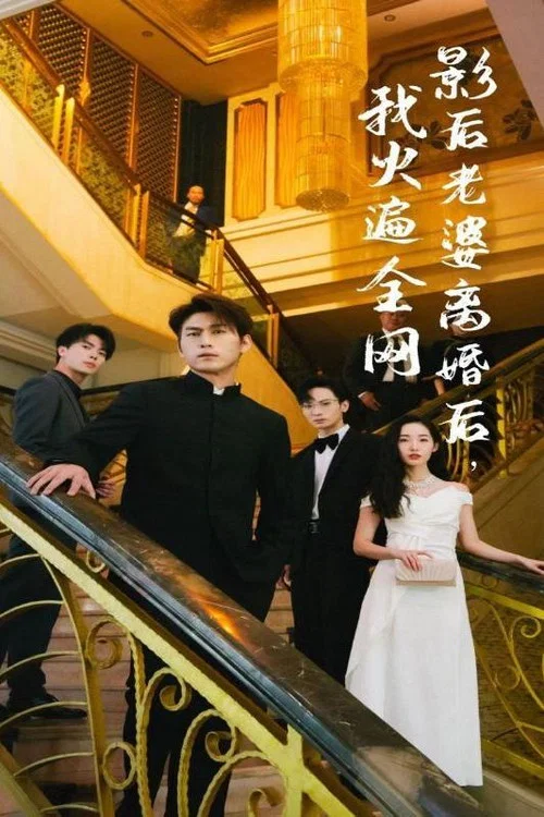 影后老婆離婚後,我火遍全網(2024)海報