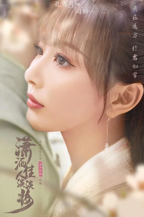 潇洒佳人淡淡妆剧照3