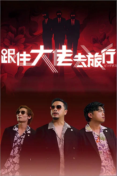 跟住大佬去旅行海报