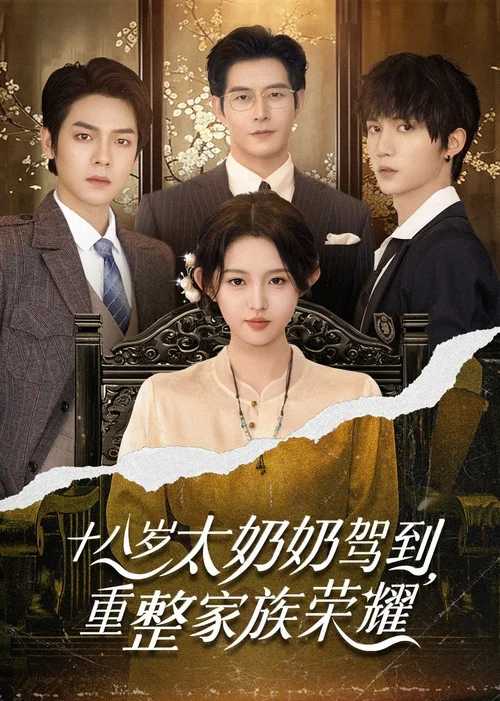 奶奶駕到海報