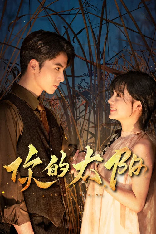 你的太陽(2025)海報