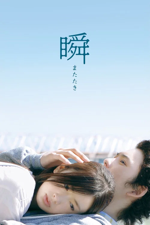 一眼瞬間,再見愛(2010)海報
