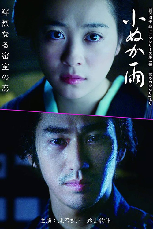 如雾细雨(2017)海报