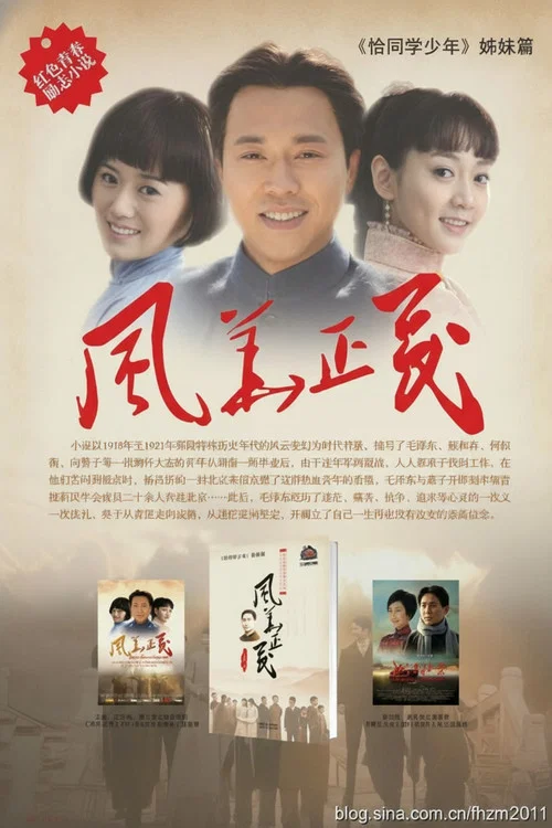 风华正茂海报