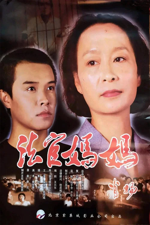 法官妈妈(2001)海报