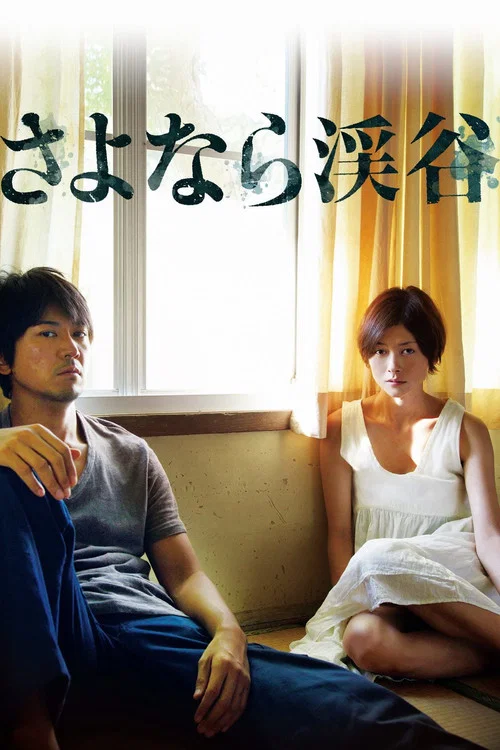 再见溪谷(2013)海报