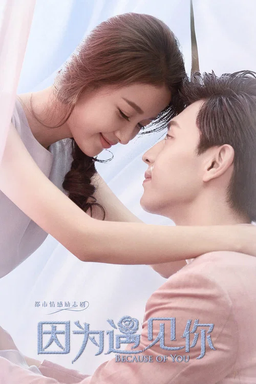 因為遇見你(2017)海報