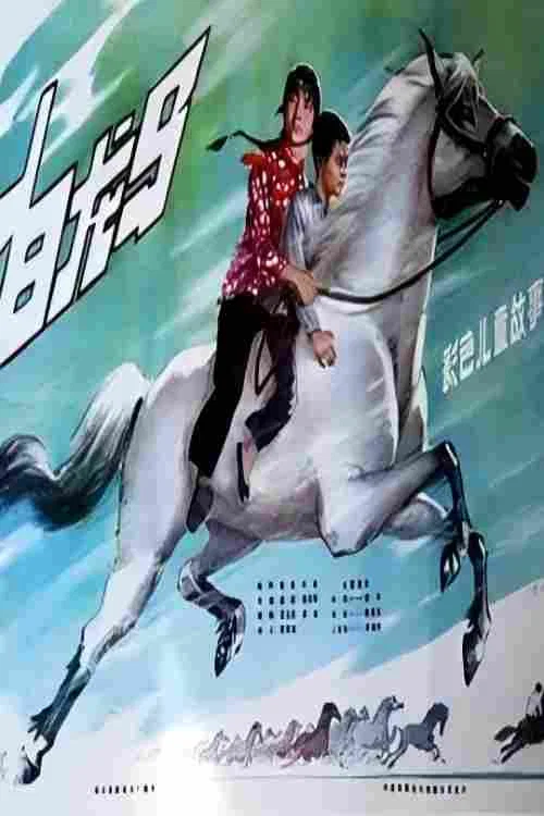 白龙马(1981)海报