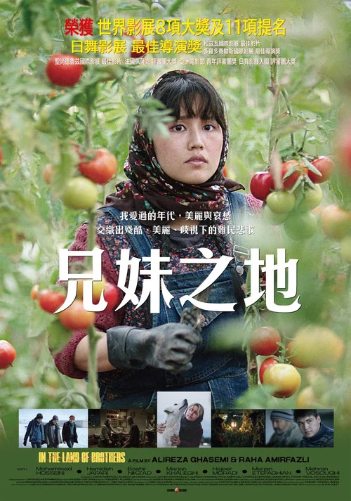 同一片土地(2024)海報