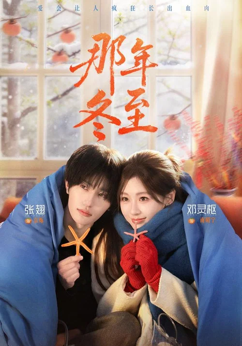那年冬至(2026)海报