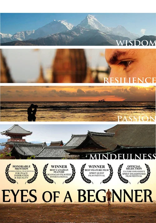 重获光明之旅(2013)海报